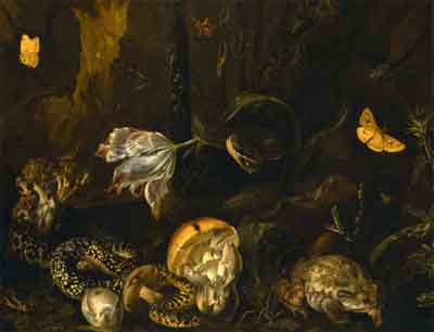 Otto Marseus Van Schrieck Tentoonstelling Rijksmuseum Twenthe Sfeerfoto (1)