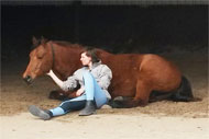 Workshop Schriktraining Paard en Pony Sfeerfoto (1)