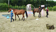 Workshop Schriktraining Paard en Pony Sfeerfoto (2)