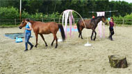 Workshop Schriktraining Paard en Pony Sfeerfoto (2) Workshop Schriktraining Paard en Pony Sfeerfoto (2)