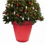 Bloom Kerstboomhouder met Verlichting Logo