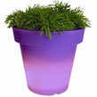 Breng Meer Kleur in Huis!