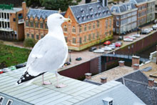 Uitstapjes op 1e Kerstdag 2015 Tips Sfeerfoto (1)