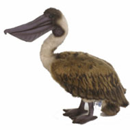 Pelikaan Knuffel Kopen Prijs Tips Voorbeelden Sfeerfoto (2) Pelikaan Knuffel Kopen Prijs Tips Voorbeelden Sfeerfoto (2)